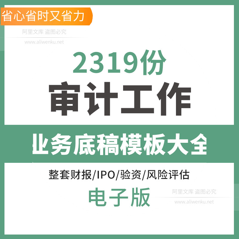 整套财报IPO验资等业务审计工作底稿模板大全编制指引word资料整